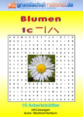 Blumen_1c.pdf